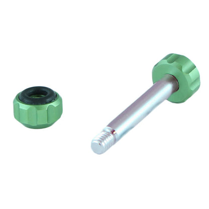 Viviana Hook Screw
